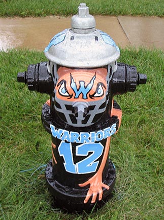 Ardmore and Riordan - Willowbrook Warriors